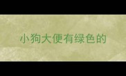 小狗大便有绿色的