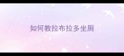 如何教拉布拉多坐厕