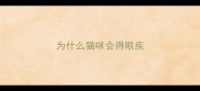 为什么猫咪会得眼疾