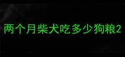 两个月柴犬吃多少狗粮