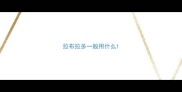 拉布拉多一般用什么