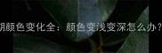 哈士奇换毛期颜色变化全颜色变浅变深怎么办附护理指南