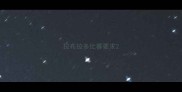 拉布拉多比赛要求
