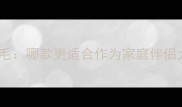 边境牧羊犬vs金毛哪款更适合作为家庭伴侣犬饲养全攻略