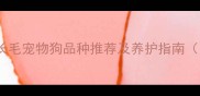 10种适合家庭的长毛宠物狗品种推荐及养护指南附品种对比表