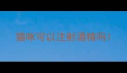 猫咪可以注射酒精吗