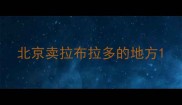 北京卖拉布拉多的地方