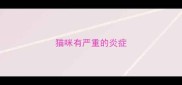 猫咪有严重的炎症