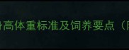 金毛犬不同月龄身高体重标准及饲养要点附科学养护指南