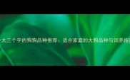 十大三个字的狗狗品种推荐适合家庭的大狗品种与饲养指南
