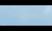 12个月大的边牧
