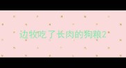 边牧吃了长肉的狗粮