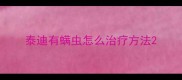 泰迪有螨虫怎么治疗方法