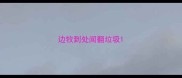 边牧到处闻翻垃圾