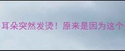 救命我家拉布拉多耳朵突然发烫原来是因为这个附专业护理指南