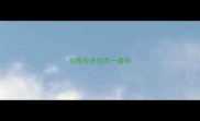 拉布拉多幼犬一直吵
