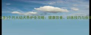 拉布拉多3个月大幼犬养护全攻略健康饮食训练技巧与疾病预防