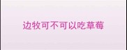 边牧可不可以吃草莓