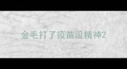 金毛打了疫苗没精神