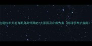 边境牧羊犬发育期身高停滞的7大原因及补救方案附科学养护指南