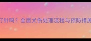 边牧抓伤后必须打针吗全面犬伤处理流程与预防措施附急救指南