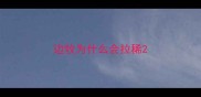 边牧为什么会拉稀