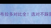 美系vs英系拉布拉多对比全选对不踩雷的养狗指南
