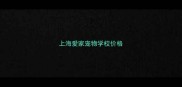 上海爱家宠物学校价格
