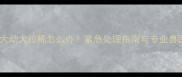 一个月大幼犬拉稀怎么办紧急处理指南与专业兽医建议
