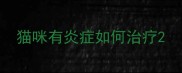 猫咪有炎症如何治疗