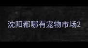 沈阳都哪有宠物市场