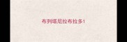 布列塔尼拉布拉多