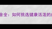 优质成年拉布拉多犬舍全如何挑选健康活泼的成年犬附饲养指南
