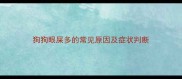 狗狗眼屎多的常见原因及症状判断