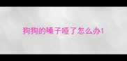 狗狗的嗓子哑了怎么办