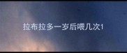 拉布拉多一岁后喂几次