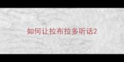 如何让拉布拉多听话