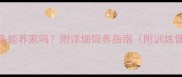 成年拉布拉多能养家吗附详细饲养指南附训练健康经济成本
