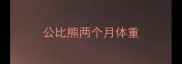 公比熊两个月体重