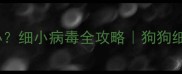 疫苗后细小怎么办细小病毒全攻略狗狗细小疫苗后护理指南