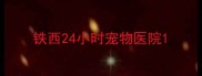 铁西24小时宠物医院