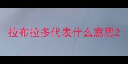 拉布拉多代表什么意思