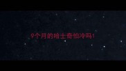 9个月的哈士奇怕冷吗
