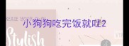 小狗狗吃完饭就吐