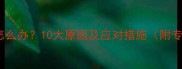 猫咪频繁呕吐怎么办10大原因及应对措施附专业兽医建议