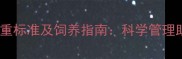 一岁边境牧羊犬体重标准及饲养指南科学管理助你养出健康大狗