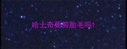 哈士奇要剪胎毛吗