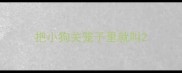 把小狗关笼子里就叫