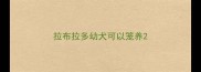 拉布拉多幼犬可以笼养