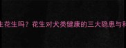 泰迪犬能吃生花生吗花生对犬类健康的三大隐患与科学喂养指南